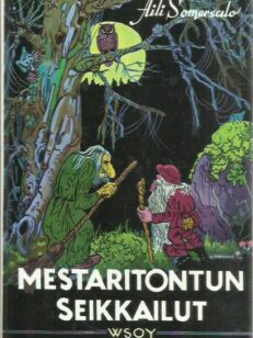 Mestaritontun seikkailut