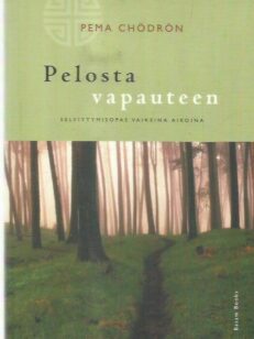 Pelosta vapauteen - Selviytymisopas vaikeina aikoina