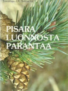 Pisara luonnosta parantaa