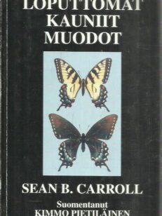 Loputtomat kauniit muodot -kirjan kansi