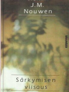 Särkymisen viisaus -kirjan kansi