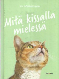 Mitä kissalla mielessä -kirjan kansi